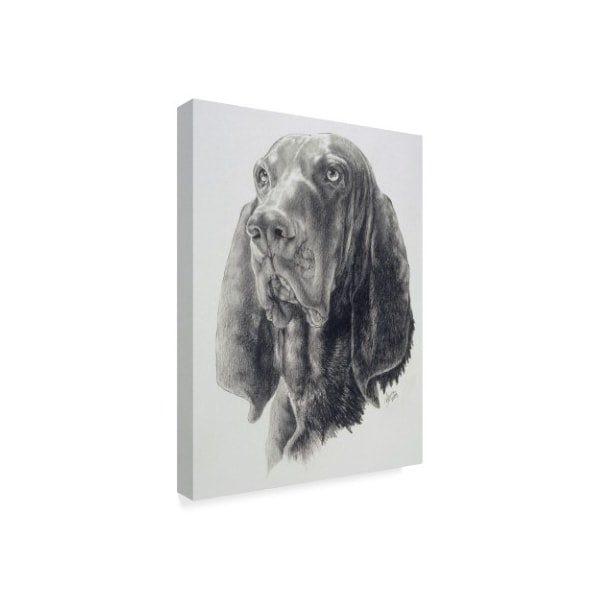 Barbara Keith 'Black And Tan Coonhound' Canvas Art,24x32